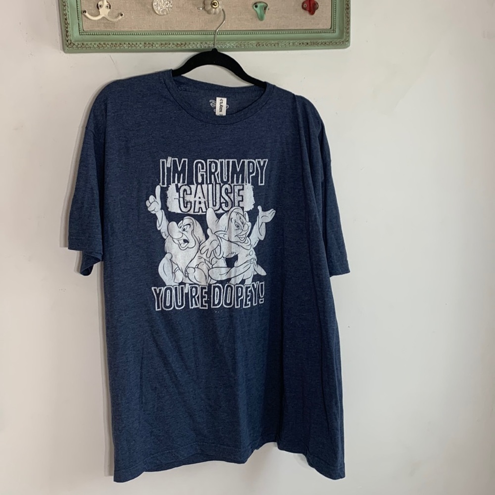 Disney Snow White & seven dwarfs short sleeve graphic T-shirt XXL blue white